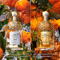 Aqua Allegoria Mandarine Basilic Forte 200ml-206764 Aqua Allegoria Mandarine Basilic Forte 200ml-206764 4
